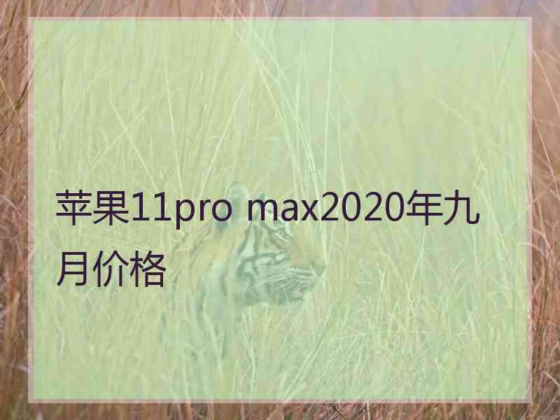 苹果11pro max2020年九月价格