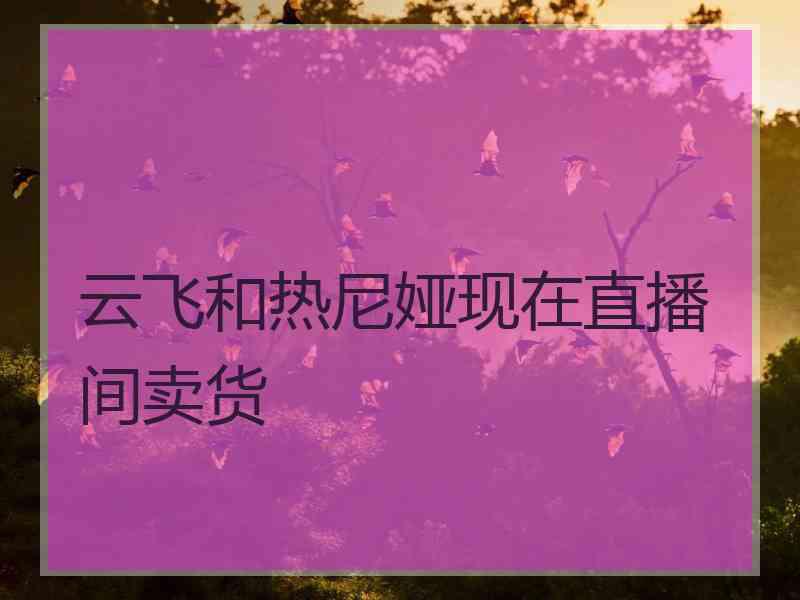 云飞和热尼娅现在直播间卖货