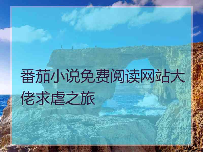 番茄小说免费阅读网站大佬求虐之旅