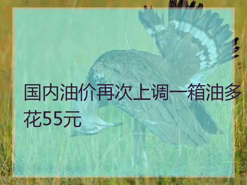 国内油价再次上调一箱油多花55元