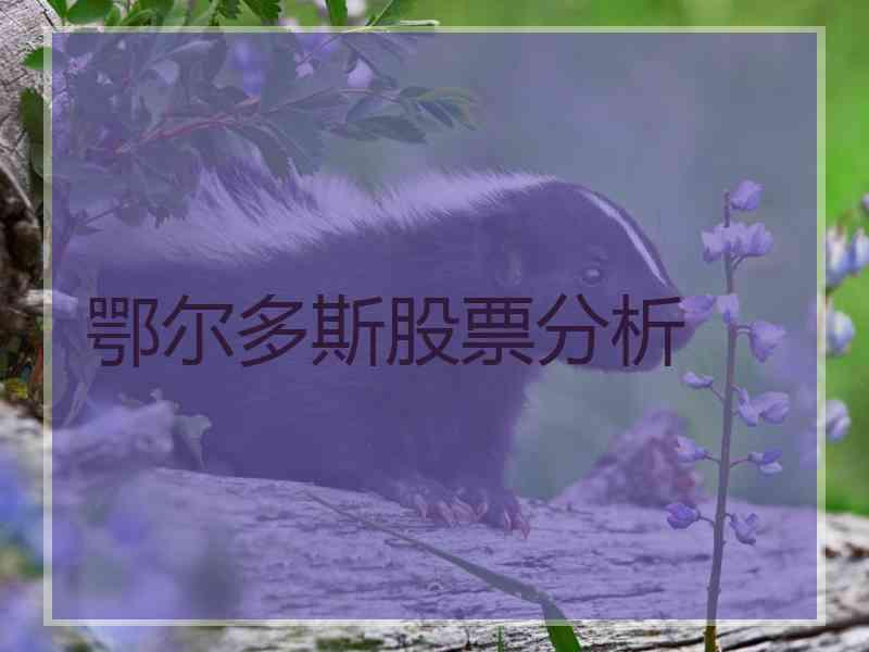 鄂尔多斯股票分析