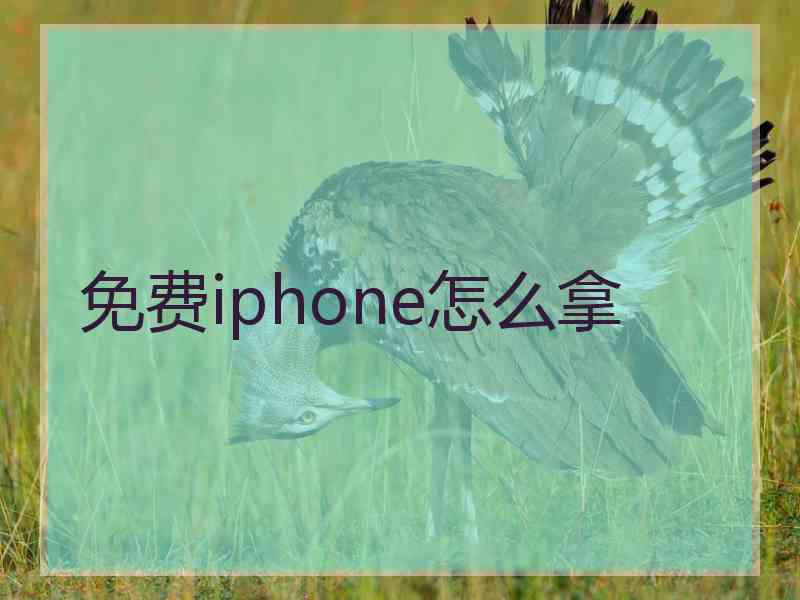 免费iphone怎么拿