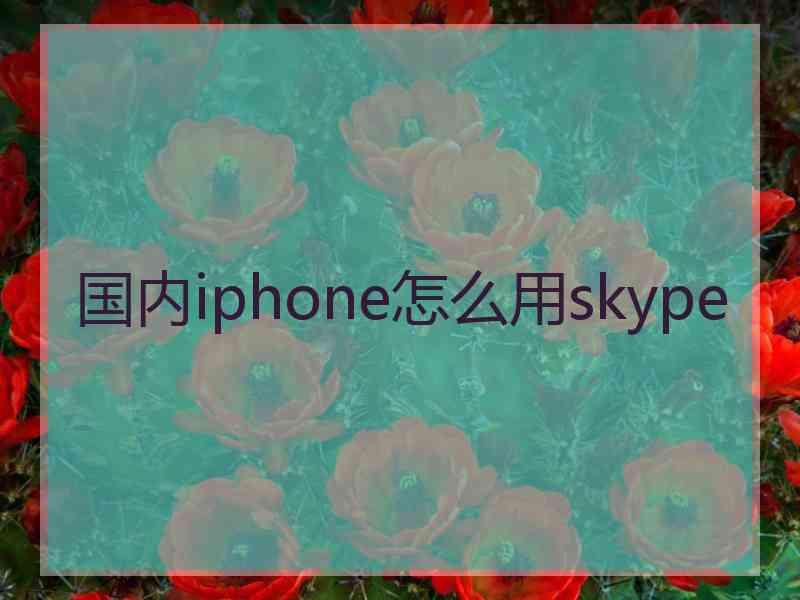 国内iphone怎么用skype