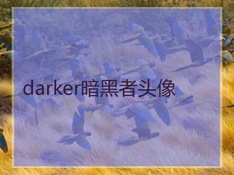 darker暗黑者头像