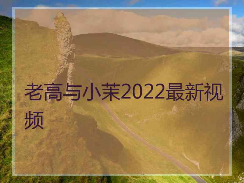 老高与小茉2022最新视频