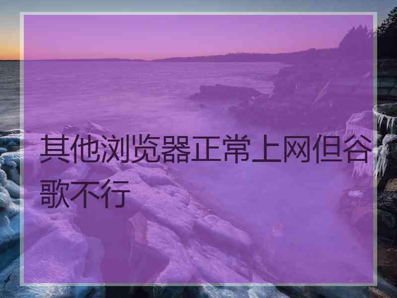 其他浏览器正常上网但谷歌不行