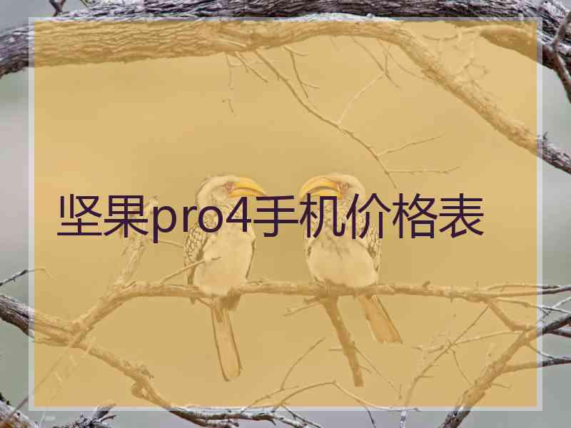 坚果pro4手机价格表