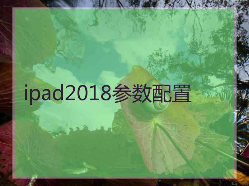 ipad2018参数配置