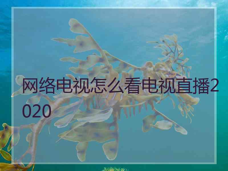 网络电视怎么看电视直播2020