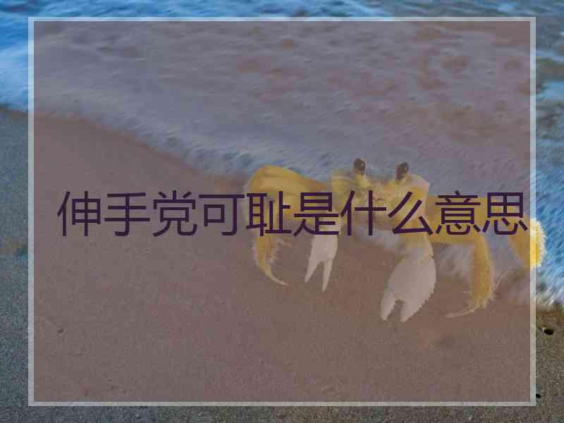 伸手党可耻是什么意思