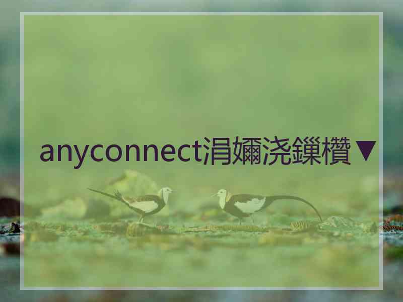 anyconnect涓嬭浇鏁欑▼