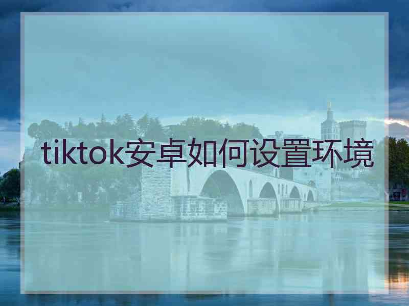 tiktok安卓如何设置环境