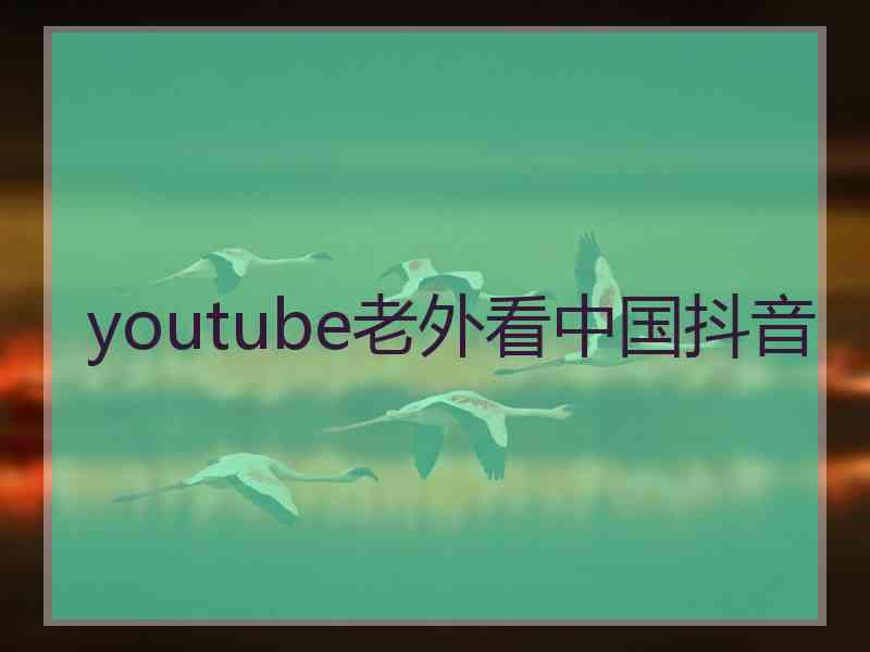 youtube老外看中国抖音