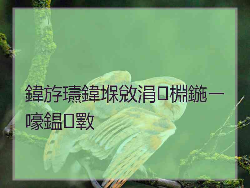 鍏斿瓙鍏堢敓涓棩鍦ㄧ嚎鎾斁