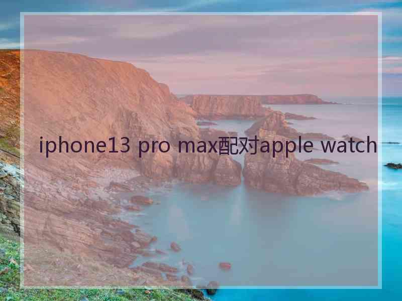 iphone13 pro max配对apple watch