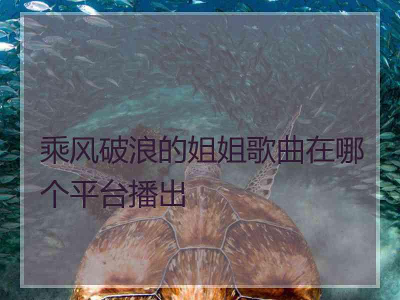 乘风破浪的姐姐歌曲在哪个平台播出