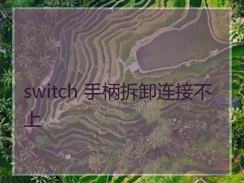 switch 手柄拆卸连接不上