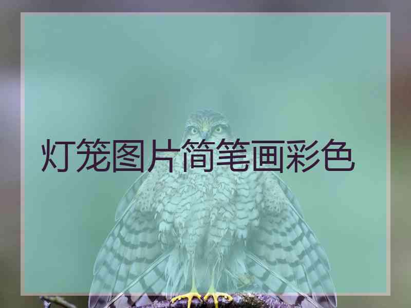 灯笼图片简笔画彩色