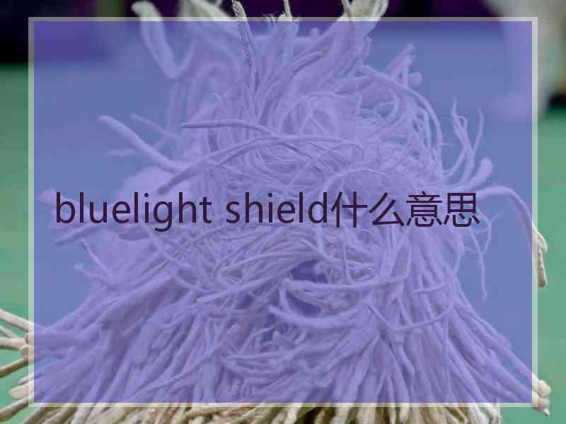 bluelight shield什么意思