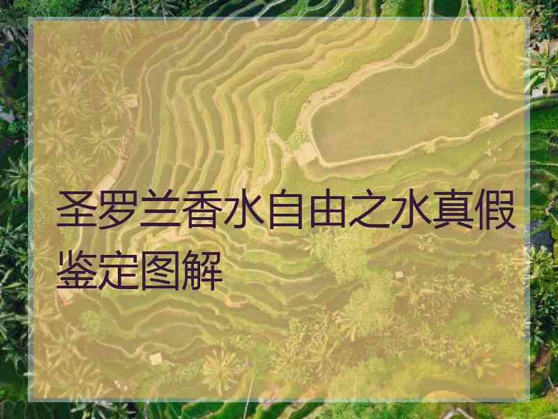 圣罗兰香水自由之水真假鉴定图解