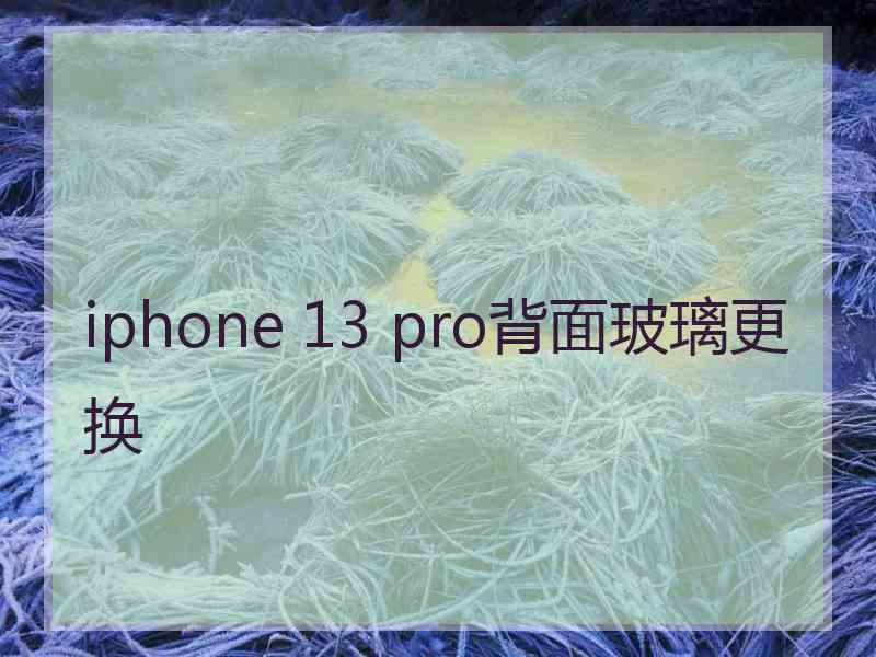 iphone 13 pro背面玻璃更换