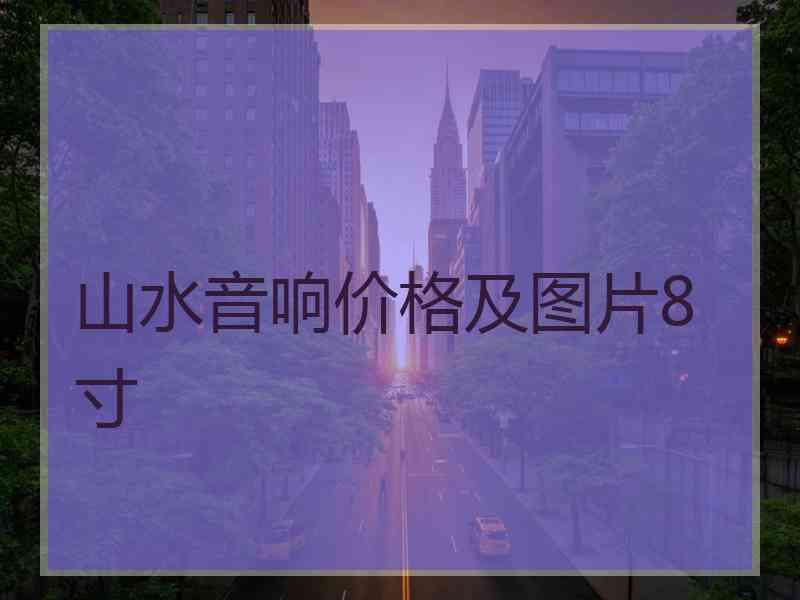 山水音响价格及图片8寸