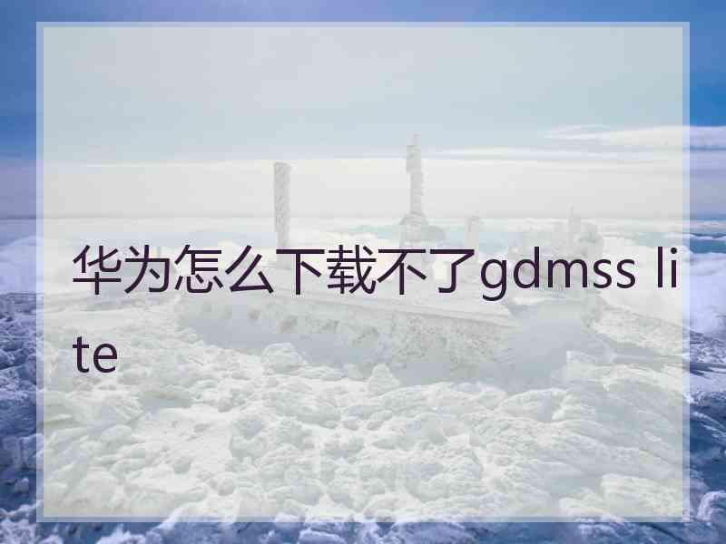 华为怎么下载不了gdmss lite