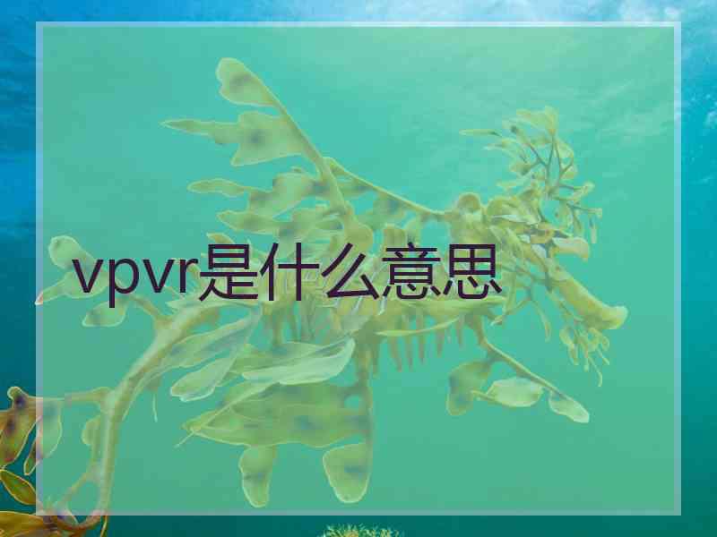 vpvr是什么意思