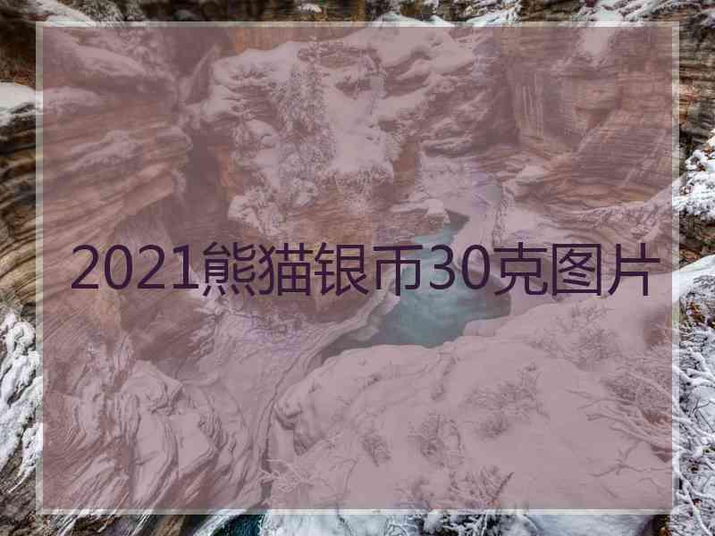 2021熊猫银币30克图片