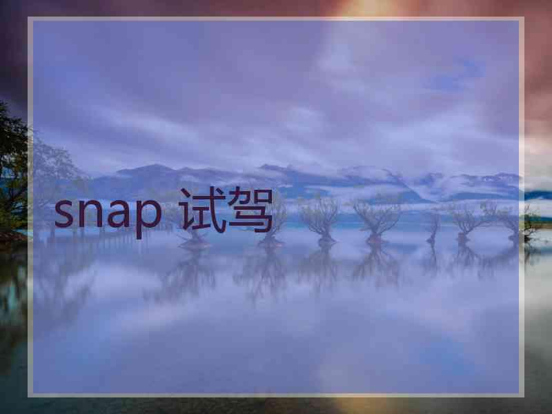 snap 试驾