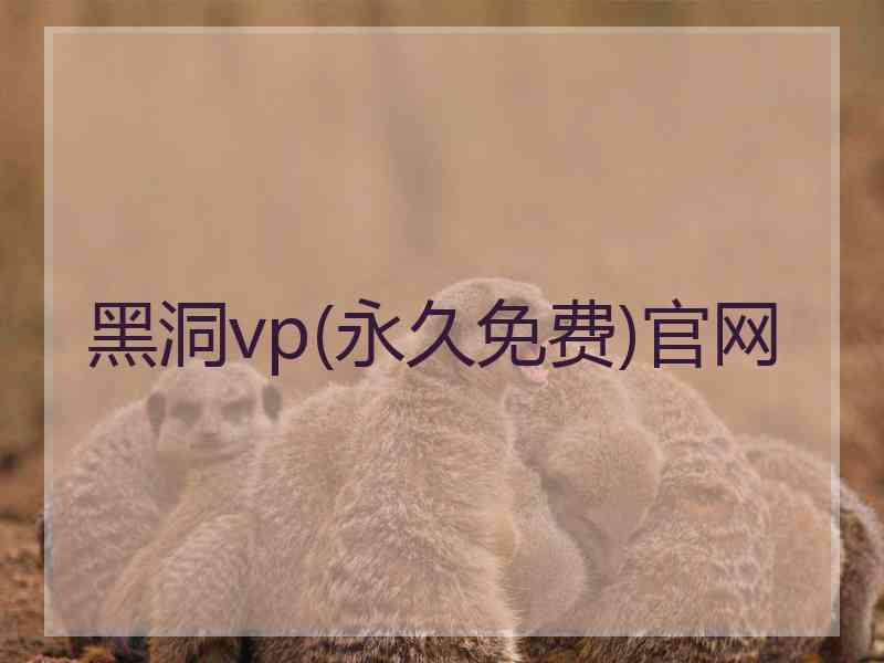 黑洞vp(永久免费)官网