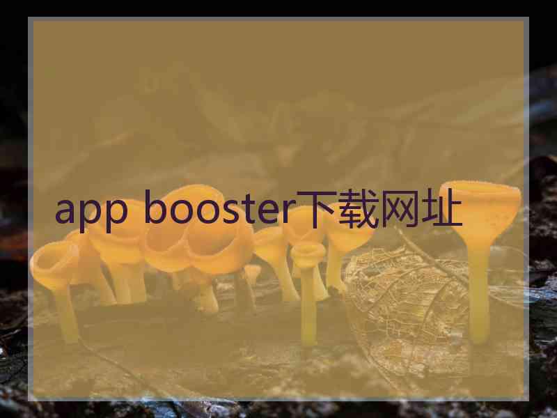 app booster下载网址