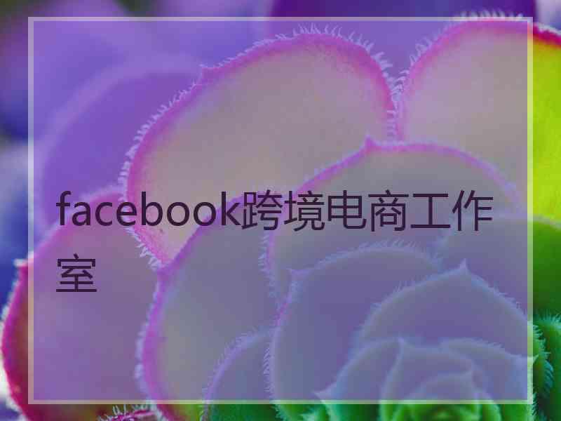 facebook跨境电商工作室