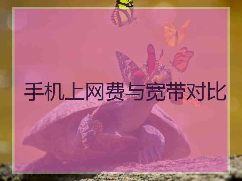 手机上网费与宽带对比