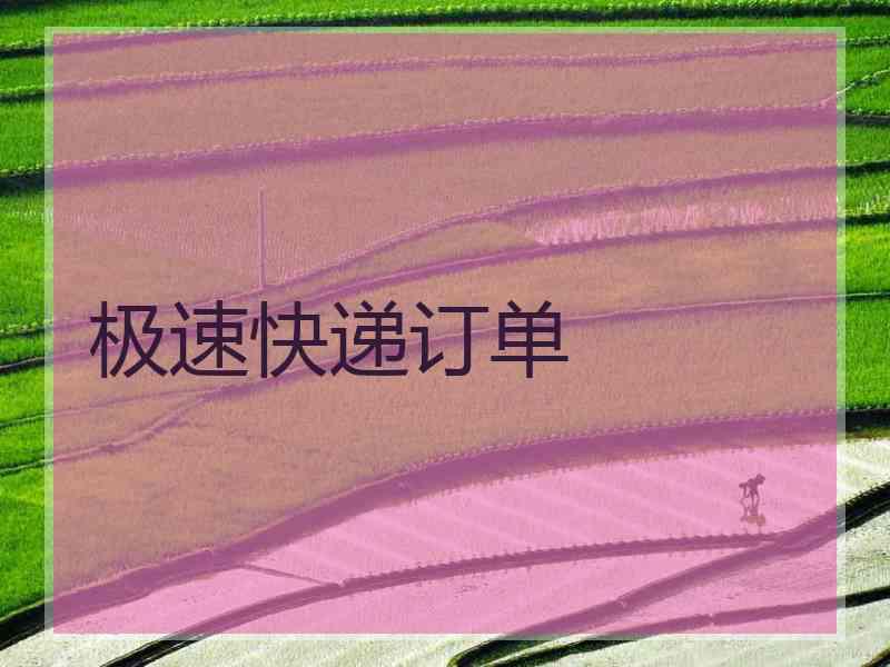 极速快递订单