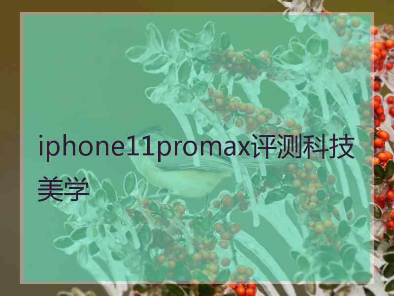 iphone11promax评测科技美学