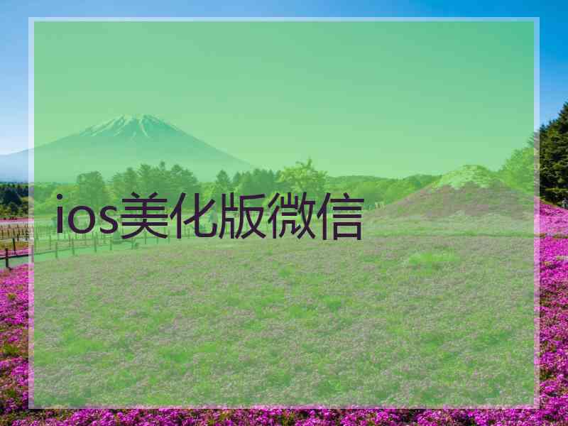 ios美化版微信