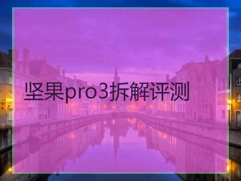 坚果pro3拆解评测