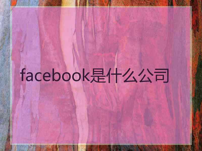 facebook是什么公司