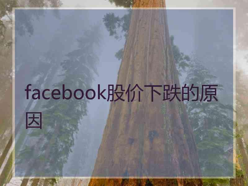 facebook股价下跌的原因