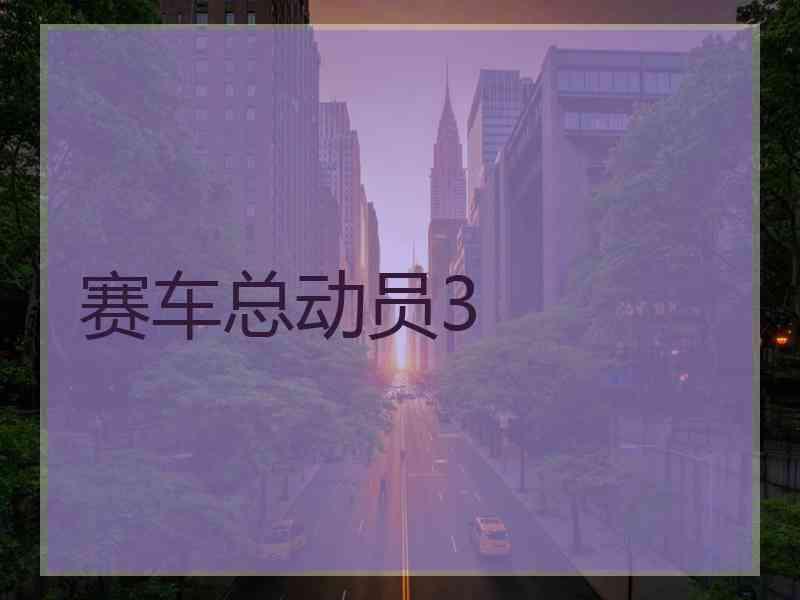 赛车总动员3