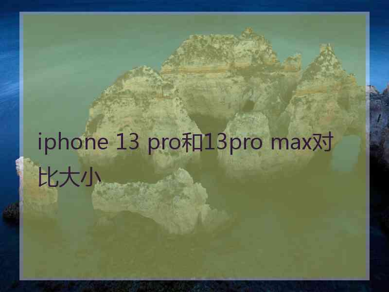 iphone 13 pro和13pro max对比大小