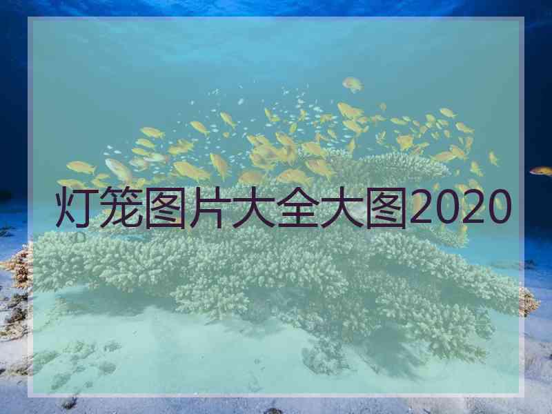 灯笼图片大全大图2020