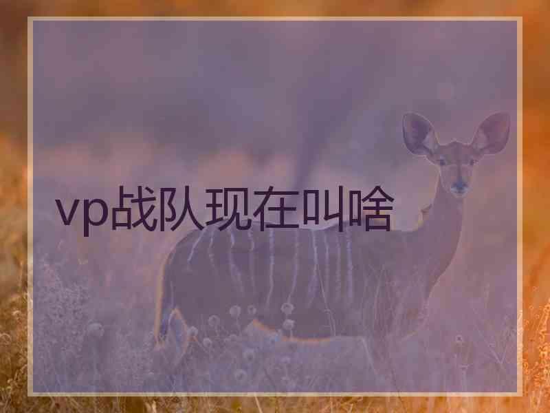 vp战队现在叫啥