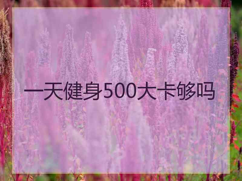 一天健身500大卡够吗