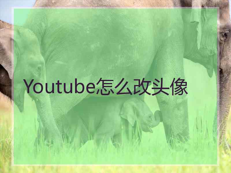 Youtube怎么改头像