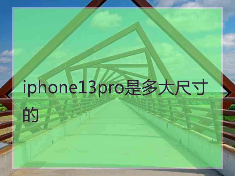 iphone13pro是多大尺寸的