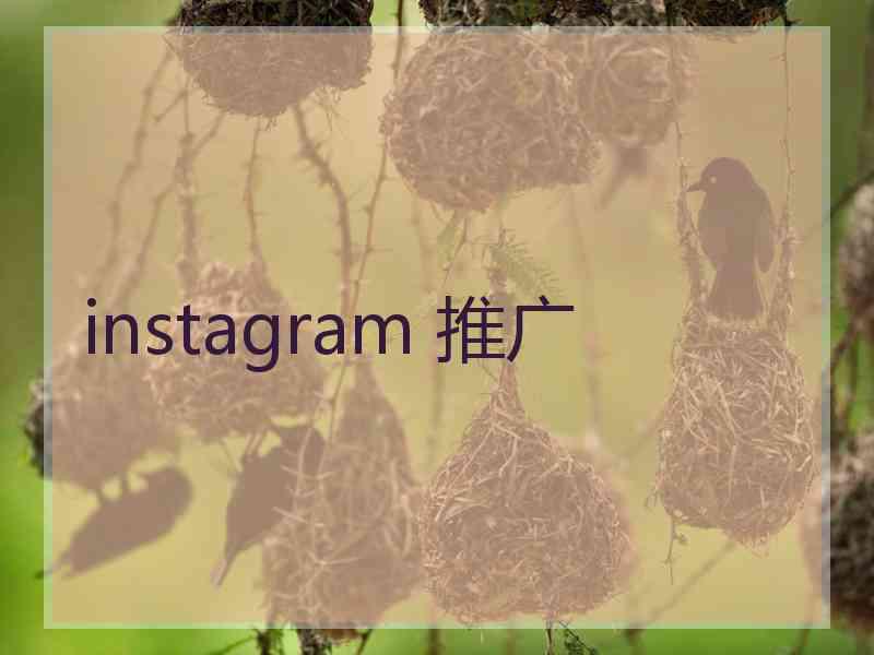 instagram 推广