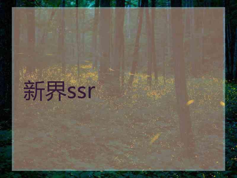 新界ssr