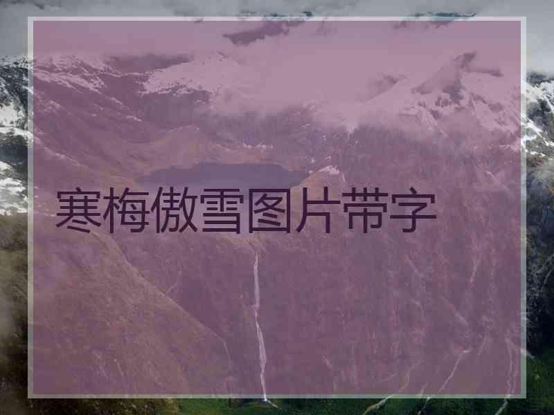 寒梅傲雪图片带字